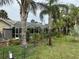 Beautiful screened-in lanai, lush landscaping, mature palm trees, and fenced yard enhance backyard oasis at 8200 Rhanbuoy Rd, Spring Hill, FL 34606