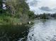 Scenic lake view with lily pads and shoreline vegetation creating a peaceful ambiance at 00 Purdue St, New Port Richey, FL 34654