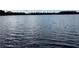 Calm lake view showcasing tranquil waters and distant treeline under a partly cloudy sky, creating a serene atmosphere at 00 Purdue St, New Port Richey, FL 34654
