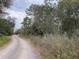 Quiet gravel road leading to a property framed by lush trees, enhancing the sense of seclusion and natural charm at 00 Purdue St, New Port Richey, FL 34654