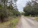 Scenic gravel road leading to property surrounded by lush trees and greenery, evoking a sense of privacy and natural beauty at 00 Purdue St, New Port Richey, FL 34654