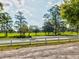 Beautiful greenspace with a white fence along the road with scattered mature trees in the community at 11524 Holly Ann Dr, New Port Richey, FL 34654