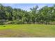 View of an expansive backyard featuring lush greenery and mature trees at 12214 Grizzly Ln, New Port Richey, FL 34654