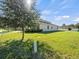 View of the backyard with lush green lawn, clear skies, and a healthy tree at 13366 Barkingside Pl, Spring Hill, FL 34609