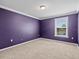 Bedroom showcasing carpet floors, a ceiling light, and a window with natural light at 13366 Barkingside Pl, Spring Hill, FL 34609