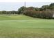 Manicured golf course with a lush green, flowering shrubs and mature trees in the background at 2221 Swedish Dr # 15, Clearwater, FL 33763