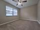 Bedroom featuring plush carpeting, a ceiling fan, and a window at 4503 Sheffield Rd, Land O Lakes, FL 34639