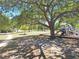 Community playground shaded by mature oak trees is near walking path and shuffleboard at 4503 Sheffield Rd, Land O Lakes, FL 34639