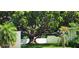 Large shade tree with sweeping branches and green lawn in front of community building with white fence at 4548 Somerset Pl, New Port Richey, FL 34652