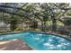 A lovely screened in in-ground pool is surrounded by mature trees and lush landscaping at 512 Winding Willow Dr, Palm Harbor, FL 34683