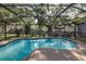 Outdoor pool surrounded by screened enclosure, perfect for recreation and relaxation at 512 Winding Willow Dr, Palm Harbor, FL 34683