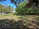 View of the yard on a sunny day with green grass and scattered trees, including palm trees at 6516 Hillview Rd, Spring Hill, FL 34606