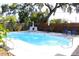 Backyard oasis with a sparkling blue pool, surrounded by a privacy fence, lounge chairs, and a table at 1540 Lime St, Clearwater, FL 33756