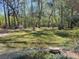 Spacious backyard surrounded by lush trees and greenery at 18255 Lake Lindsey Rd, Brooksville, FL 34601