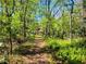 Scenic wooded path leading to a distant home through lush greenery at 18255 Lake Lindsey Rd, Brooksville, FL 34601