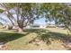 Large backyard with mature trees, providing ample shade and a serene environment for relaxation and recreation at 4647 Gazebo Ct, New Port Richey, FL 34655