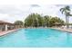 Exterior of a large sparkling blue pool with ample seating, a covered picnic area, and scenic landscaping at 4647 Gazebo Ct, New Port Richey, FL 34655