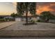 Beautiful home with a well-maintained yard and mature palm trees, creating a tropical oasis at 7341 Bimini Dr, Port Richey, FL 34668