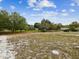 A spacious, wooded lot with potential building site is ideal for new construction or recreating a private estate at 10318 Piper Dr, New Port Richey, FL 34654