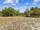 A vast lot with trees scattered throughout shows the land's dimensions and future potential at 10318 Piper Dr, New Port Richey, FL 34654