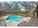 Private pool with a screened-in enclosure, surrounded by trees, with a tanning ledge and brick pavers at 10531 Lakeview Dr, New Port Richey, FL 34654