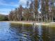 Beautiful waterfront featuring a sandy beach with trees, a boat, and sparkling water under a partly cloudy sky at 11444 Lake Dr, New Port Richey, FL 34654