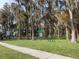 Outdoor park area featuring a sidewalk and a bicycle rack surrounded by trees at 11444 Lake Dr, New Port Richey, FL 34654