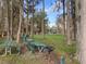 Outdoor park area featuring picnic tables and charcoal grill surrounded by trees at 11444 Lake Dr, New Port Richey, FL 34654