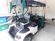 Enclosed golf cart featuring a striped canopy, seats, and cooler, ideal for leisurely rides around the community at 12004 Valley Falls Loop, Spring Hill, FL 34609