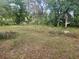 An overgrown backyard of the property, with a picnic table in the background at 13120 Davista Ave, New Port Richey, FL 34654