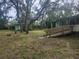 Spacious backyard with mature trees surrounding the house and shed at 13120 Davista Ave, New Port Richey, FL 34654