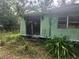 Exterior of a green house with overgrown foliage needing landscape maintenance at 13120 Davista Ave, New Port Richey, FL 34654