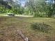 Street view of property lot, featuring an overgrown lawn and trees at 13120 Davista Ave, New Port Richey, FL 34654