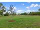 Spacious, lush green backyard with a young tree as a centerpiece, under a blue sky with scattered clouds at 13619 Hunters Point St, Spring Hill, FL 34609