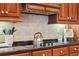 Close-up of a kitchen with stainless steel kettle and cooktop, tiled backsplash, and dark countertops at 1473 Sail Harbor Cir, Tarpon Springs, FL 34689