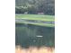 Water view of deer grazing near a pond, showing the tranquil nature of the community at 1771 Whitewillow Dr, Wesley Chapel, FL 33543