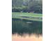Scenic water view with deer, showcasing the peaceful and natural setting at 1771 Whitewillow Dr, Wesley Chapel, FL 33543