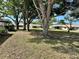A lush backyard surrounded by trees and neighboring homes at 24862 Us Highway 19 N # 203, Clearwater, FL 33763