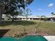 A serene backyard surrounded by lush trees and neighboring homes at 24862 Us Highway 19 N # 203, Clearwater, FL 33763