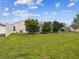 A spacious backyard with green grass, several trees, and a screened in pool at 305 Royal Palm Way, Spring Hill, FL 34608