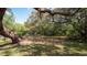 Lush backyard featuring mature trees providing ample shade and privacy on a sunny day at 4475 Rachel Blvd, Spring Hill, FL 34607