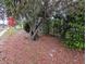 Home's front yard with mature tree and landscaping at 5949 1St Ave, New Port Richey, FL 34652