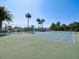Outdoor tennis court with palm trees, perfect for active residents at 6035 Sea Ranch Dr # 209, Hudson, FL 34667