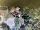 Aerial view of cozy single-Gathering home nestled in lush, mature trees at 8711 Cutlass Dr, Hudson, FL 34667