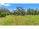 Beautiful grassy lot showcasing mature trees with Spanish moss, creating a serene and spacious outdoor environment at 10645 Fawn Dr, New Port Richey, FL 34654