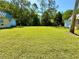 Expansive backyard with lush green grass and mature trees, perfect for outdoor activities and enjoying nature at 11814 Carissa Ln, New Port Richey, FL 34654