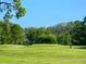 Lush golf course view showcasing manicured greens and tree canopies, exemplifying the community's natural beauty at 11814 Carissa Ln, New Port Richey, FL 34654