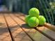 Bright tennis balls rest on a wood bench, providing a close-up shot highlighting the community's athletic amenities at 11814 Carissa Ln, New Port Richey, FL 34654