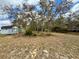 Large, grassy backyard with a storage shed and mature trees providing shade at 13377 Montour St, Brooksville, FL 34613