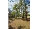 Secluded backyard with mature trees, offering privacy and a natural setting at 13377 Montour St, Brooksville, FL 34613